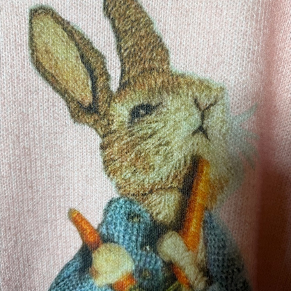 Pink Peter Rabbit Sweater Size 3Xl - Picture 3 of 4